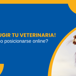 Haz rugir tu veterinaria Cómo posicionarse online