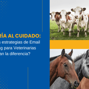De la Cría al Cuidado Cómo las estrategias de Email Marketing para Veterinarias marcan la diferencia